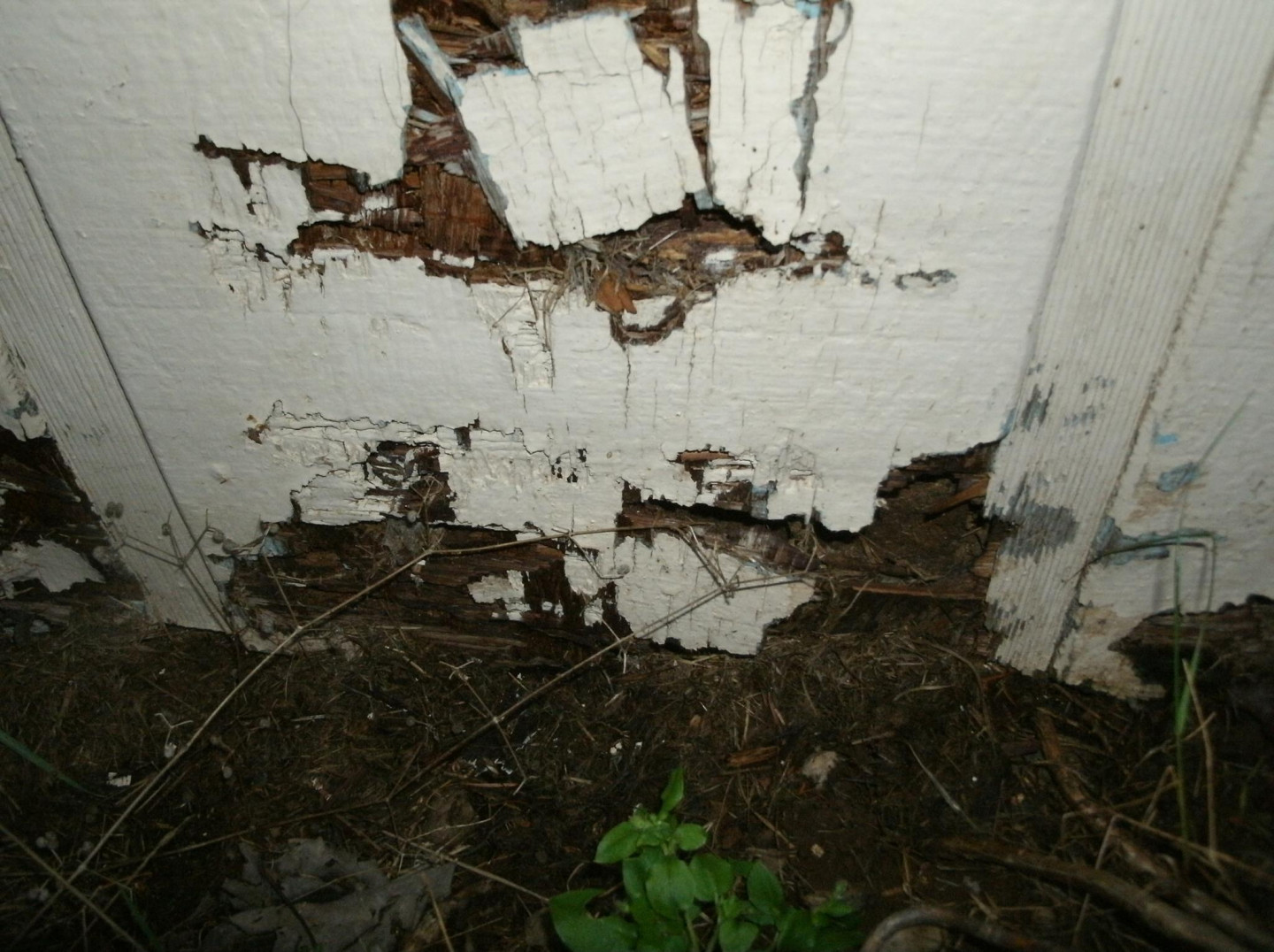 Pest & Termite Inspections Casper, Glenrock, Cheyenne & Douglas, WY